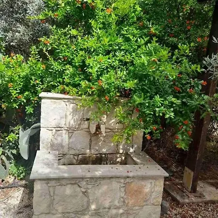 Ivi's House Giolou Σπίτι διακοπών Πάφος