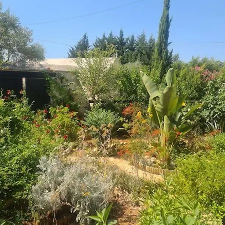 Holiday home Ivi's House Giolou *