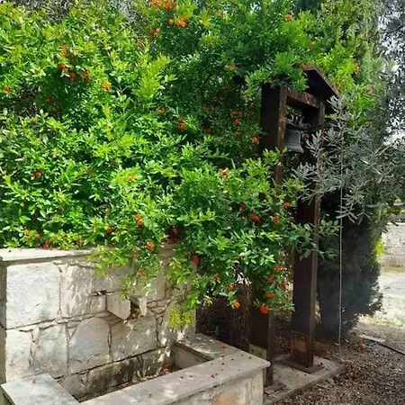 Ivi's House Giolou Holiday home *